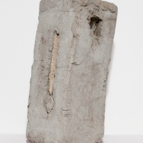 Clay, food, animal footprints, 35 x 16 x 16 cm